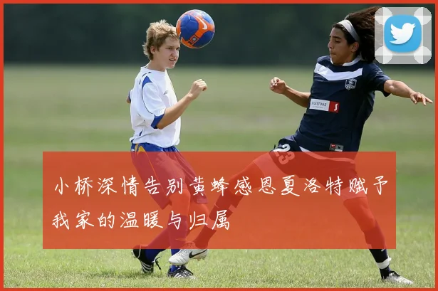 小桥深情告别黄蜂感恩夏洛特赋予我家的温暖与归属