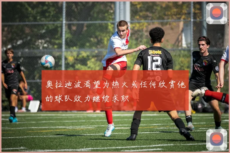 奥拉迪波渴望为热火或任何欣赏他的球队效力继续求职