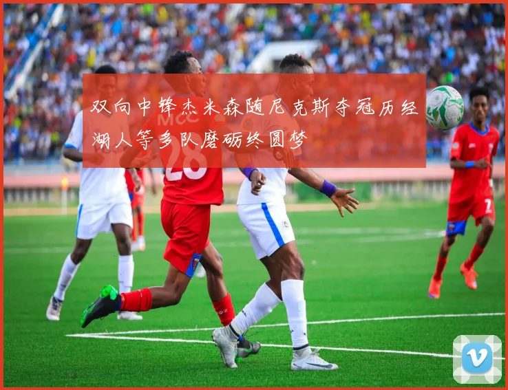 双向中锋杰米森随尼克斯夺冠历经湖人等多队磨砺终圆梦